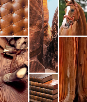 Collage of images featuring brown leather, natural landscapes, a horse, and books.